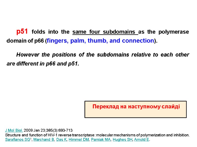 p51 folds into the same four subdomains as the polymerase domain of p66 (fingers,